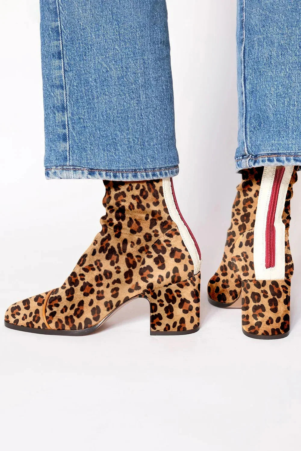 Leopardo / 43